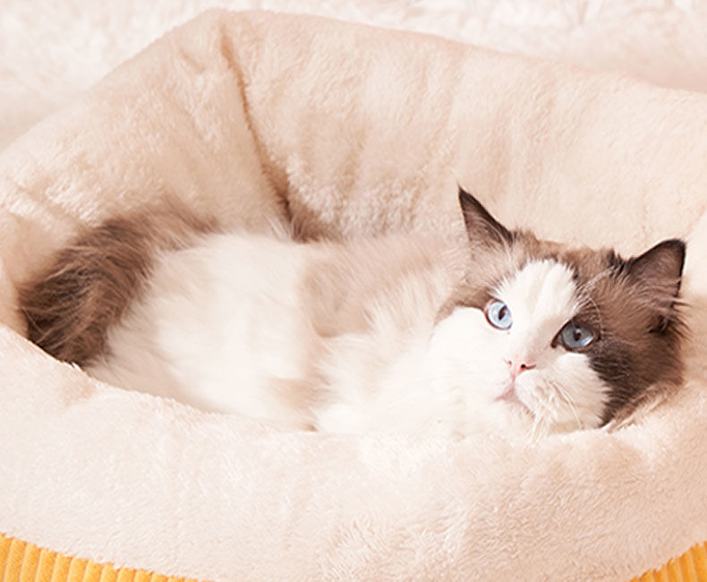 d612245c-7f2b-48b3-b553-f6ced3d686ae.jpe