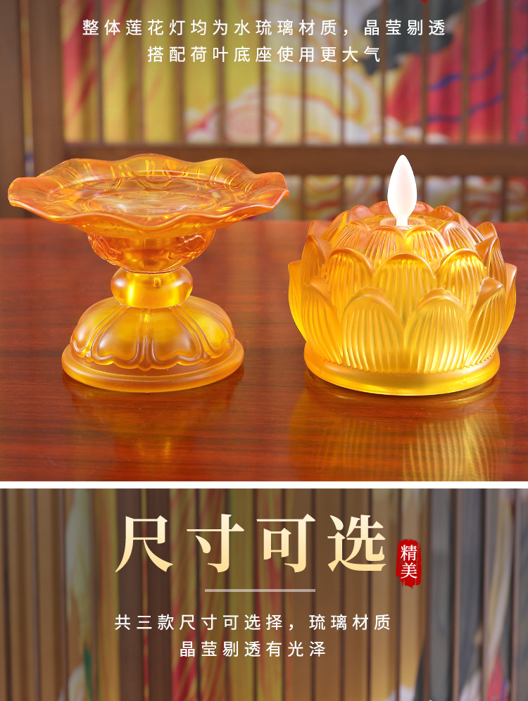 十瓣摇摆_04.jpg