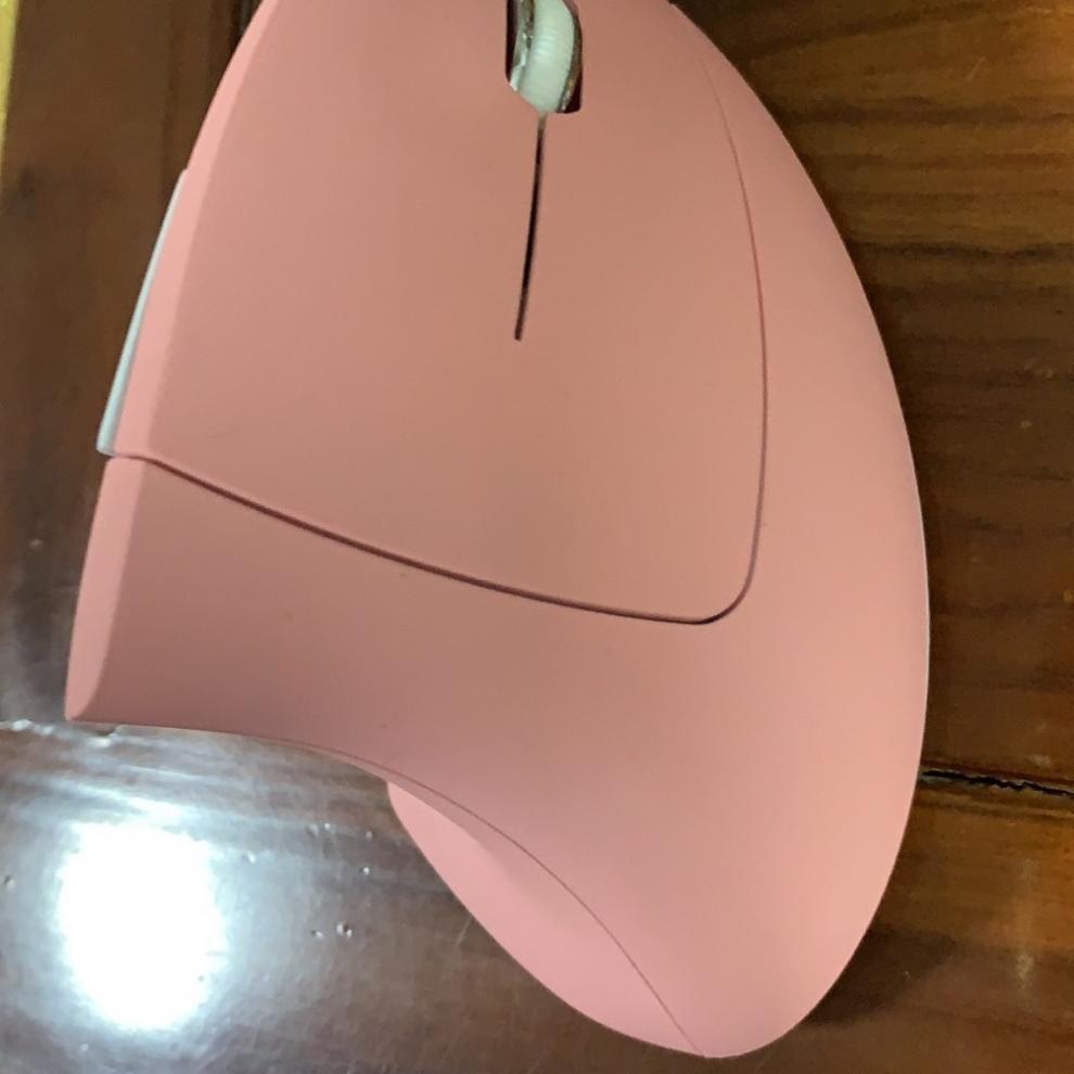 71e4a22a-e584-461f-9bbf-96c0b401eda7.jpe