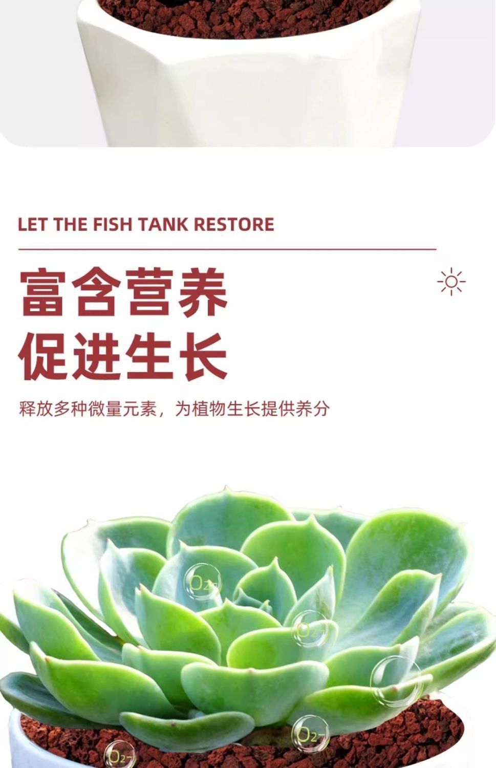 8c91c046fbd37fbc06e3e07142ec6976.jpeg