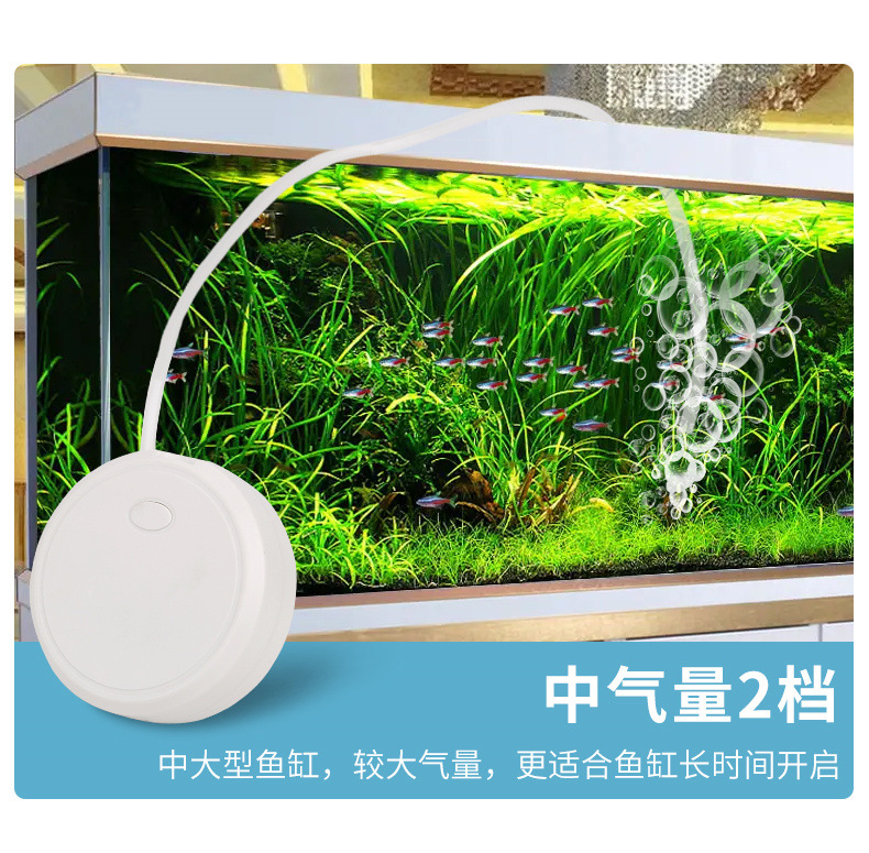 97e0f1b2-3589-4046-9c4c-6f056e026aa1.jpe