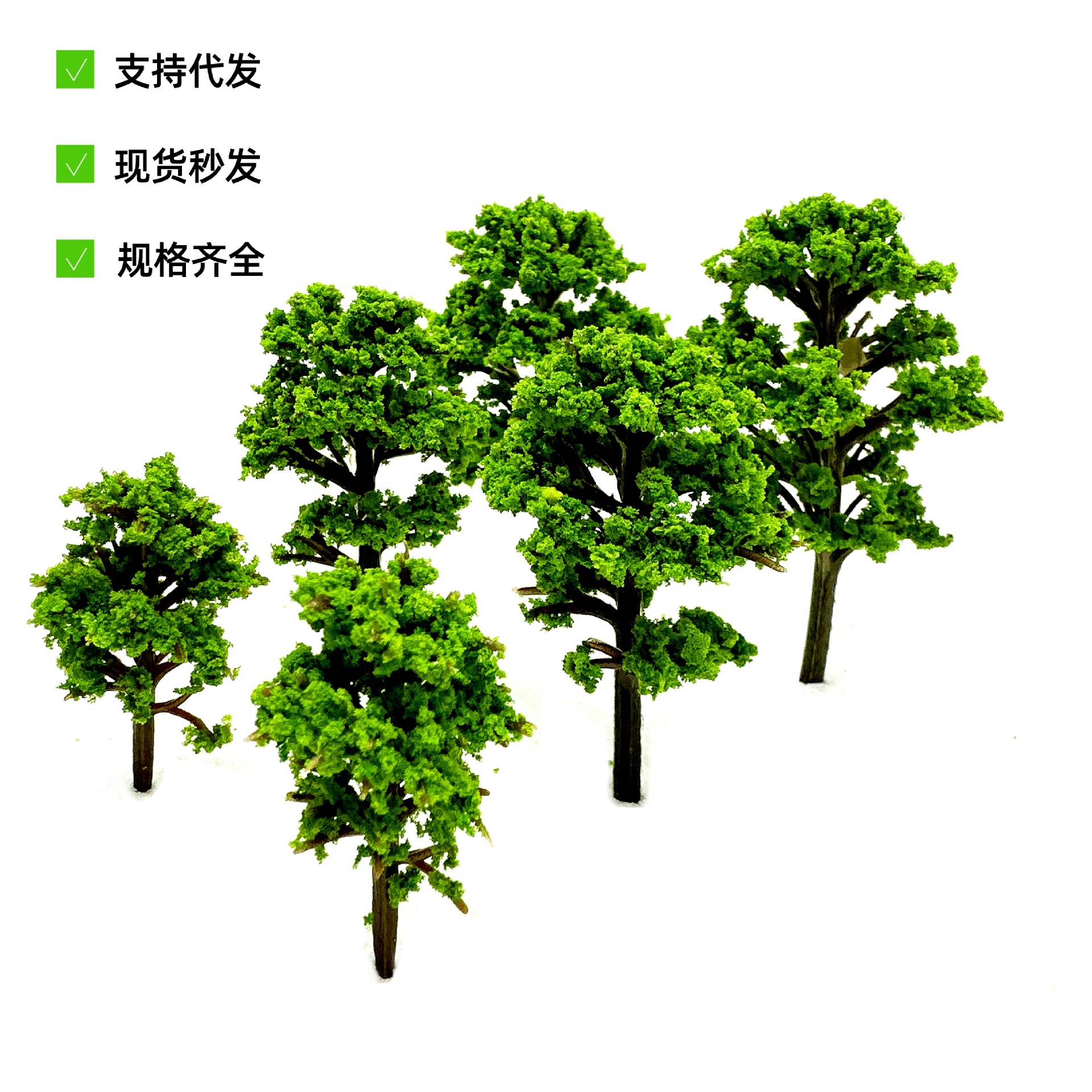 QQ图片20250226195822