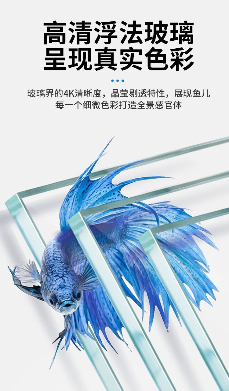 5af5f487-4252-4041-a535-ac173abd592b.jpe