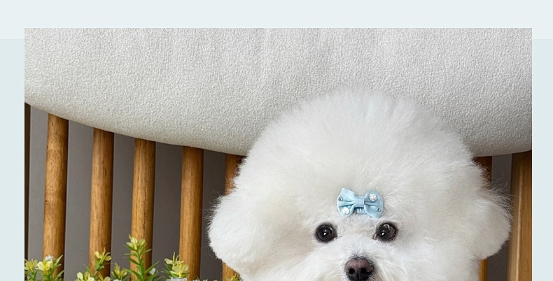 1004.jpg?x-oss-process=image/format,png