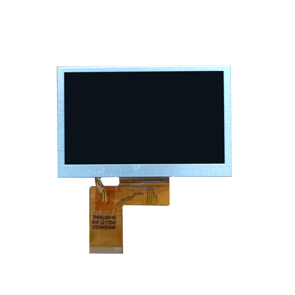 f101fc29532d541bt透明.png