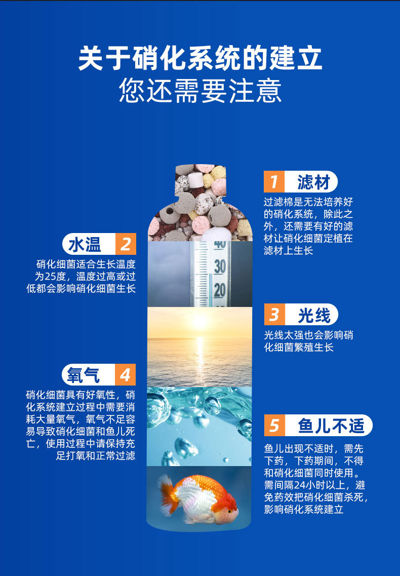 详情_11.jpg