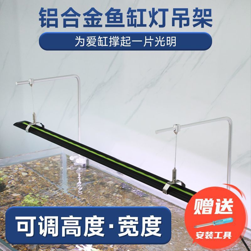 67c33b83-8e19-4893-8650-35f5b78bb363.jpe