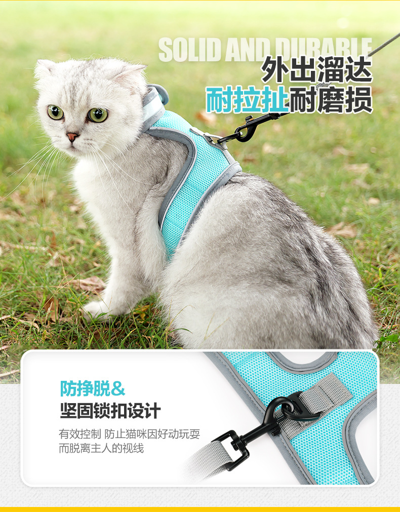 K型猫背带_04.jpg