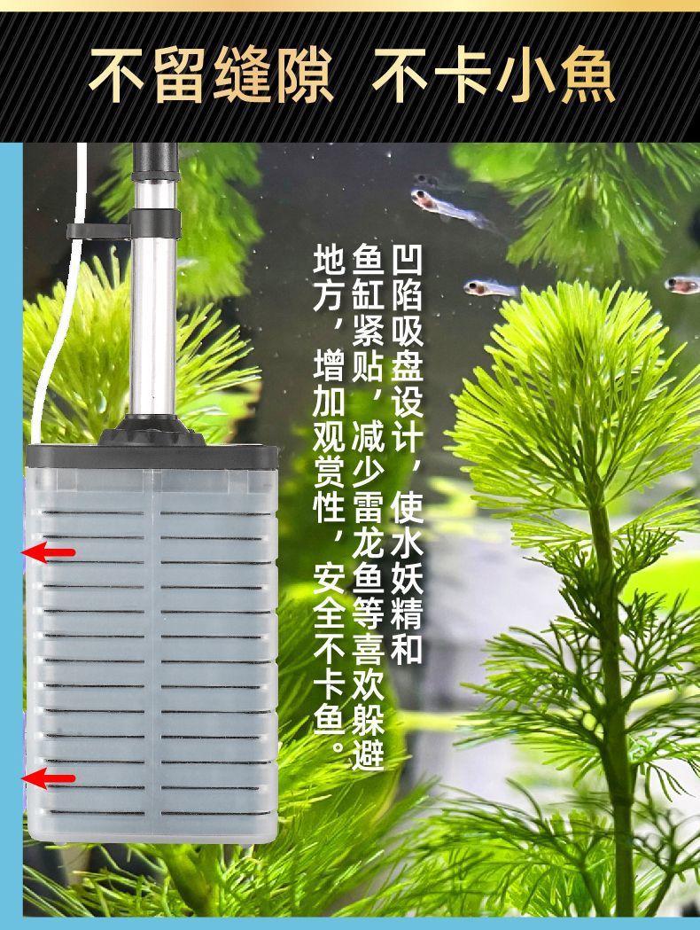 2948e0ac-69ce-4f85-b588-c3c42b497d78.jpe