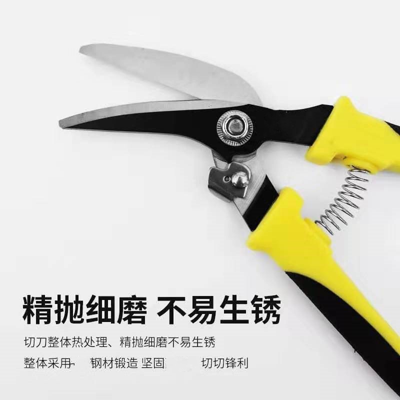 O1CN01Se1Iea232jXkgfPSM_!!2210