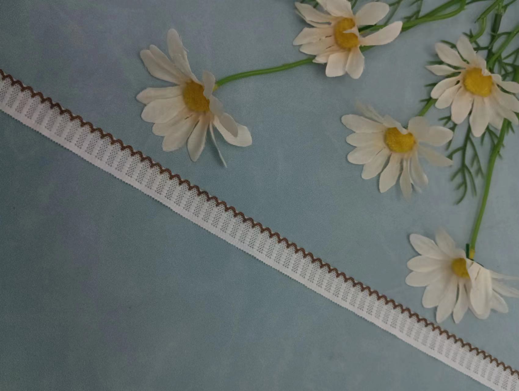 微信图片_20230812164400