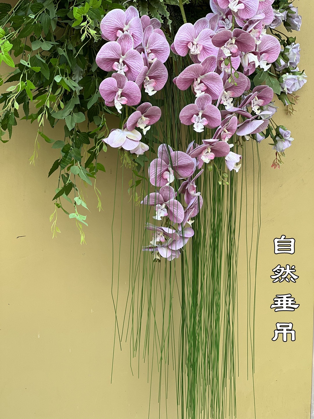 微信图片_20220815170651_副本