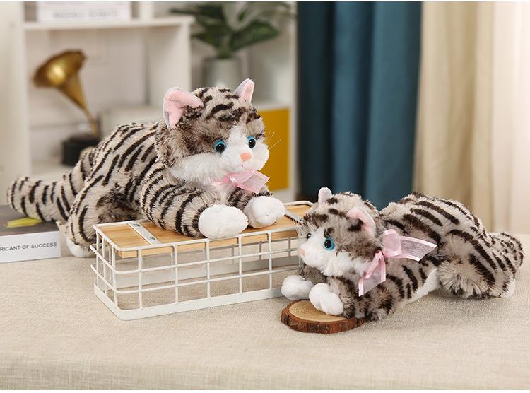 猫猫_14.jpg
