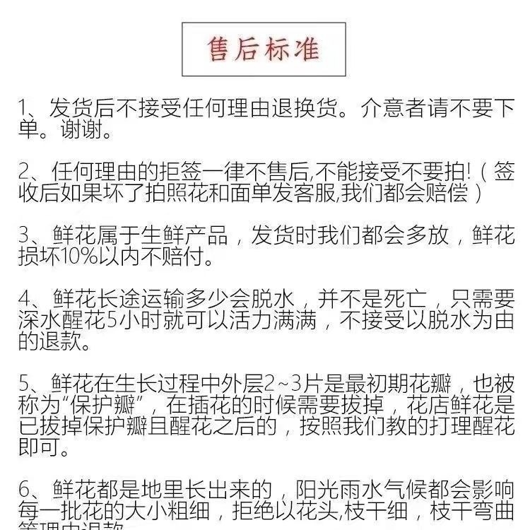 b4fe465b-d6ac-4058-997b-486955d498f2.jpe