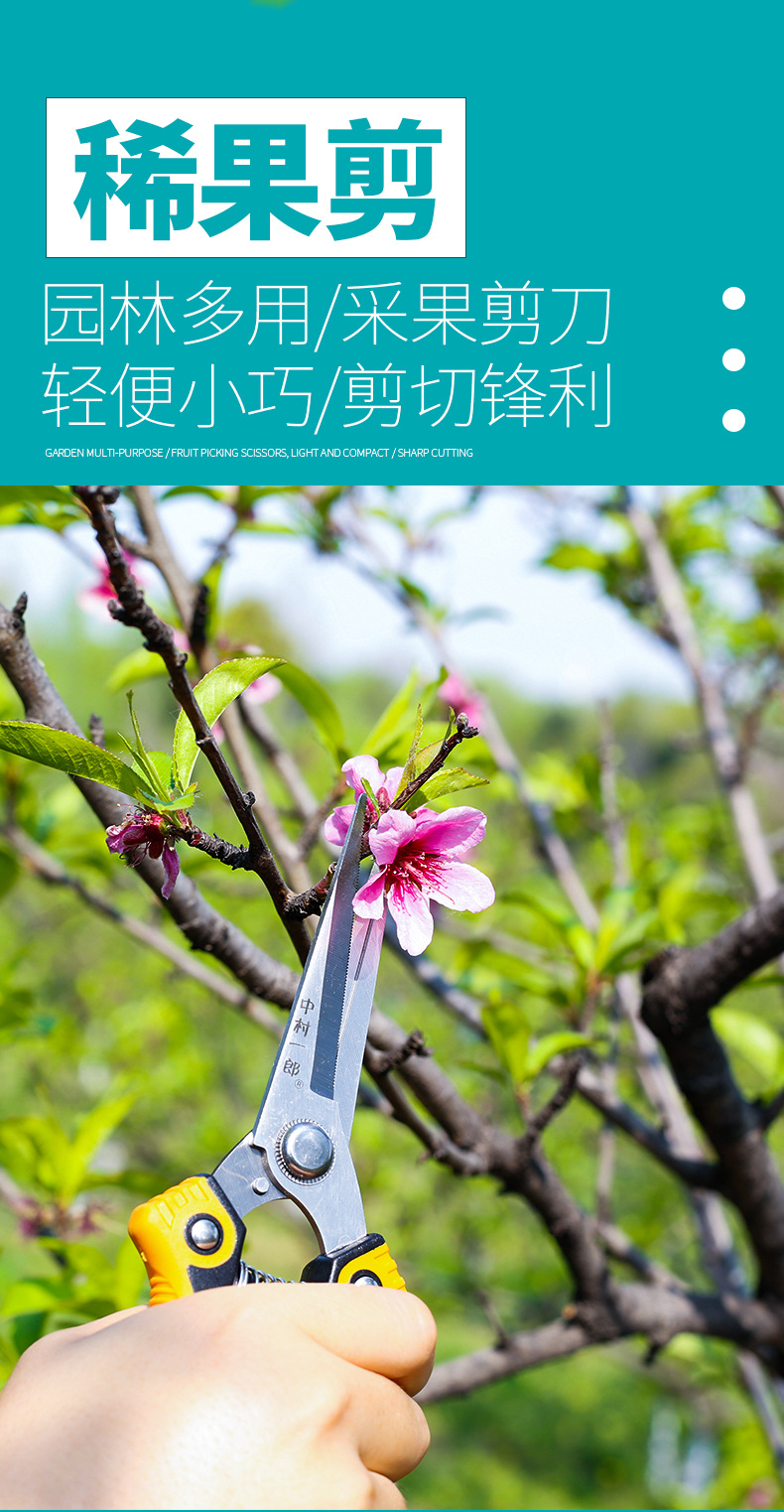 稀果剪_01.jpg