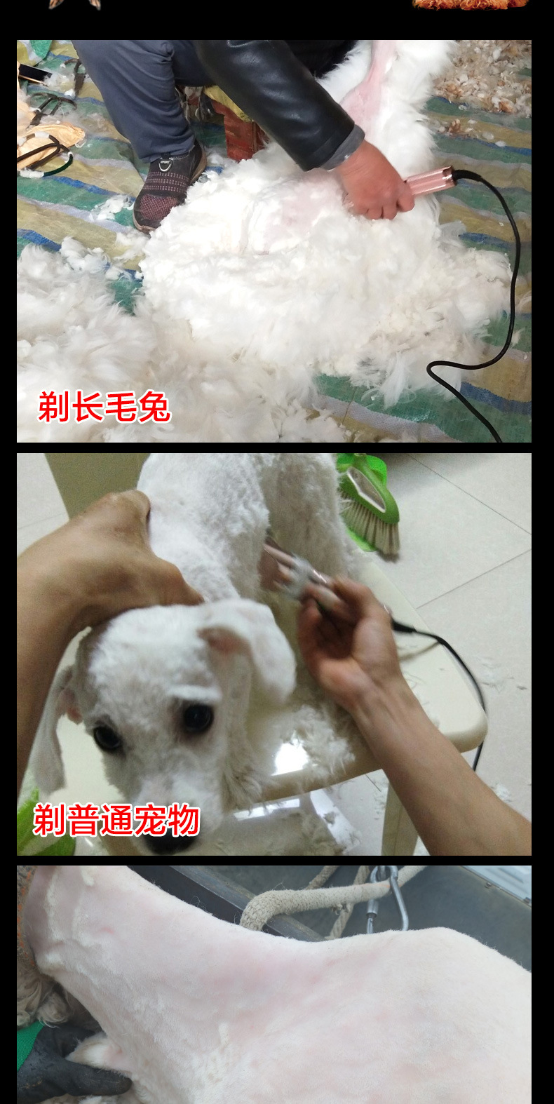 狼霸T84首次_09.jpg