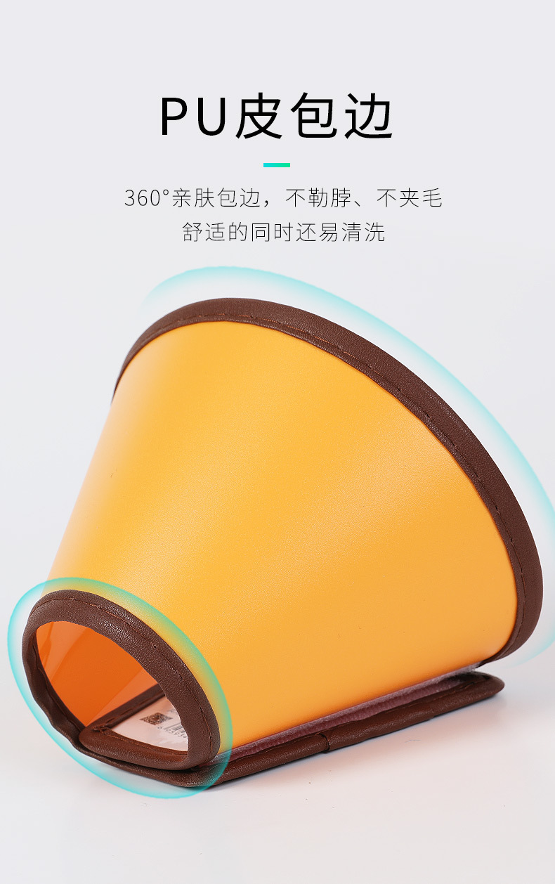 伊丽莎白圈 (6).jpg