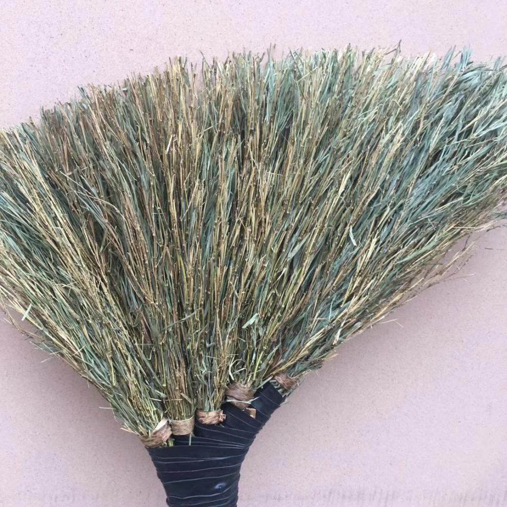 830c40d2-6e55-4ce6-8aed-53c083aace82.jpe