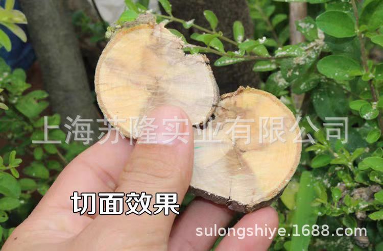 德狮宝SK-600折叠手工锯 户外手工锯园林