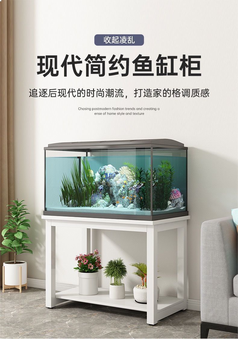 f551d429-5c5c-45d8-a1a4-bfc4ae30ef28.jpe