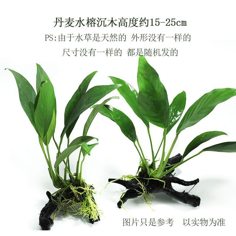 e3c1becf-3082-434c-bf00-669ef317078b.jpe