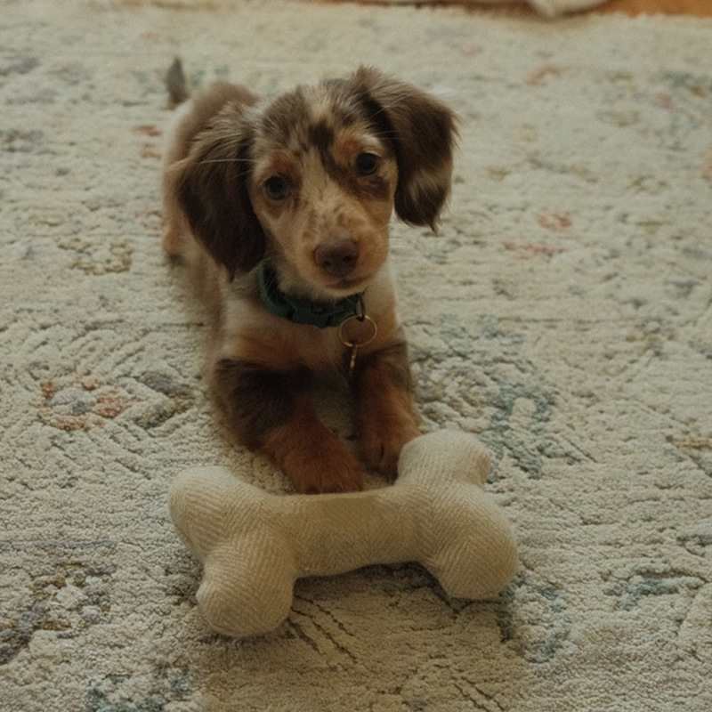 e5d7d33f-347d-466b-9d25-bb3633