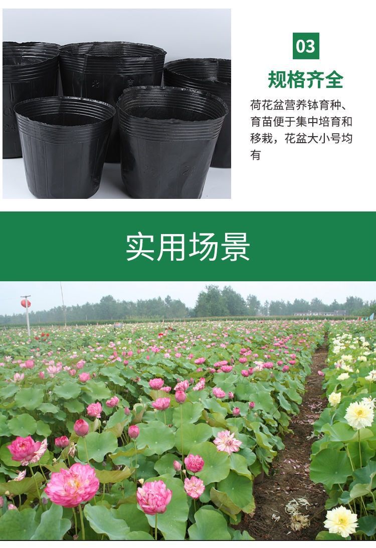 微信图片_20221008153822.jpg