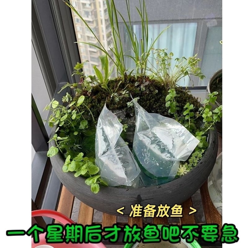 bbb1f6a3-967a-442e-b114-400f94898780.jpe