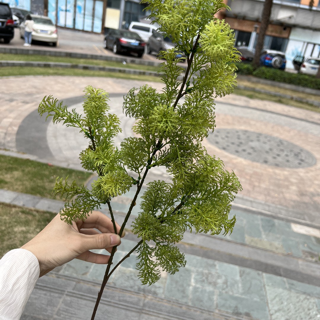 2025-11-04 13:20:08.jpg