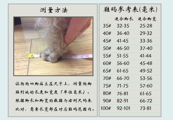 上架测量尺码参考图