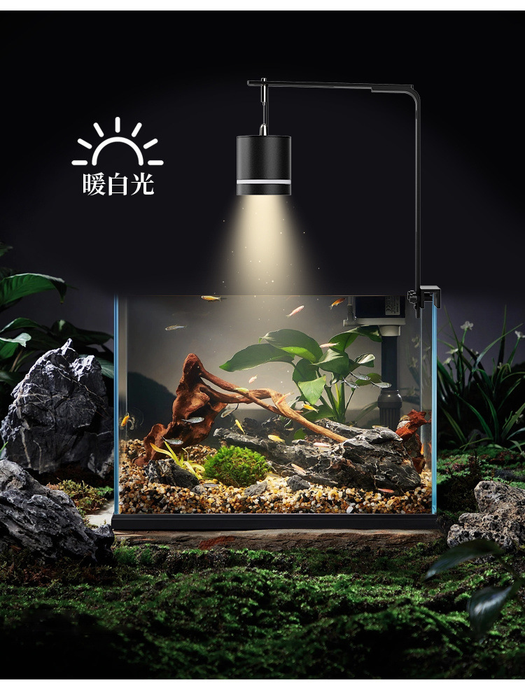 9f7c6d14-a013-463a-b4d5-842f61573e86.jpe