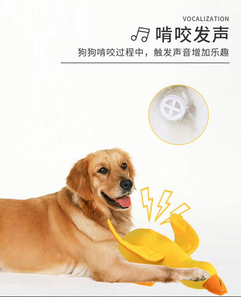 O1CN01NtDPC4283G6DgZIR0_!!2211