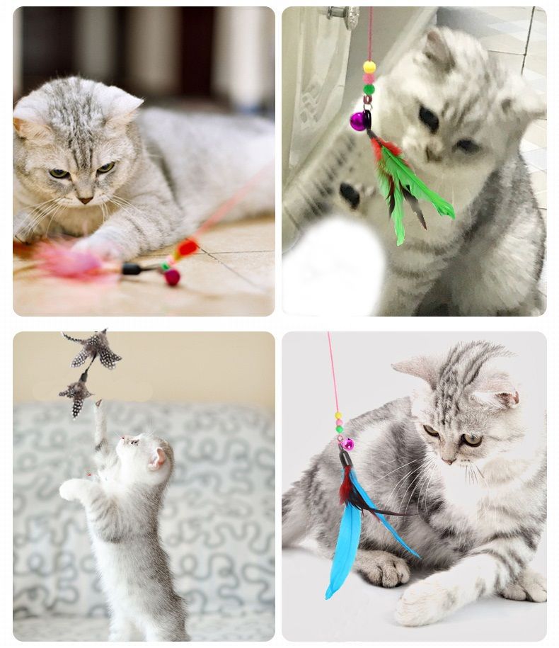 1936f326-8062-44c5-99fa-c04e26