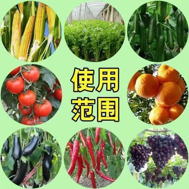 94ffb27a-a4d9-4ae0-b23e-e8d8ae887e6e.jpe