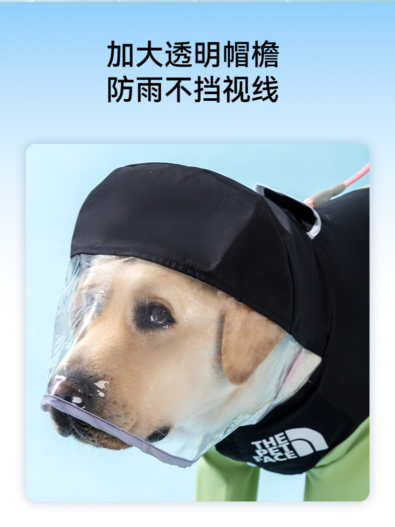 d87bfedb-7a8f-4fe6-9586-d32ccd5f56b6.jpe