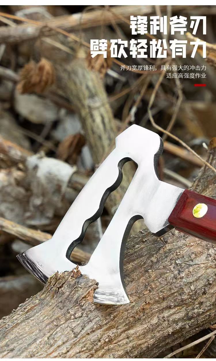 微信图片_202409291555153