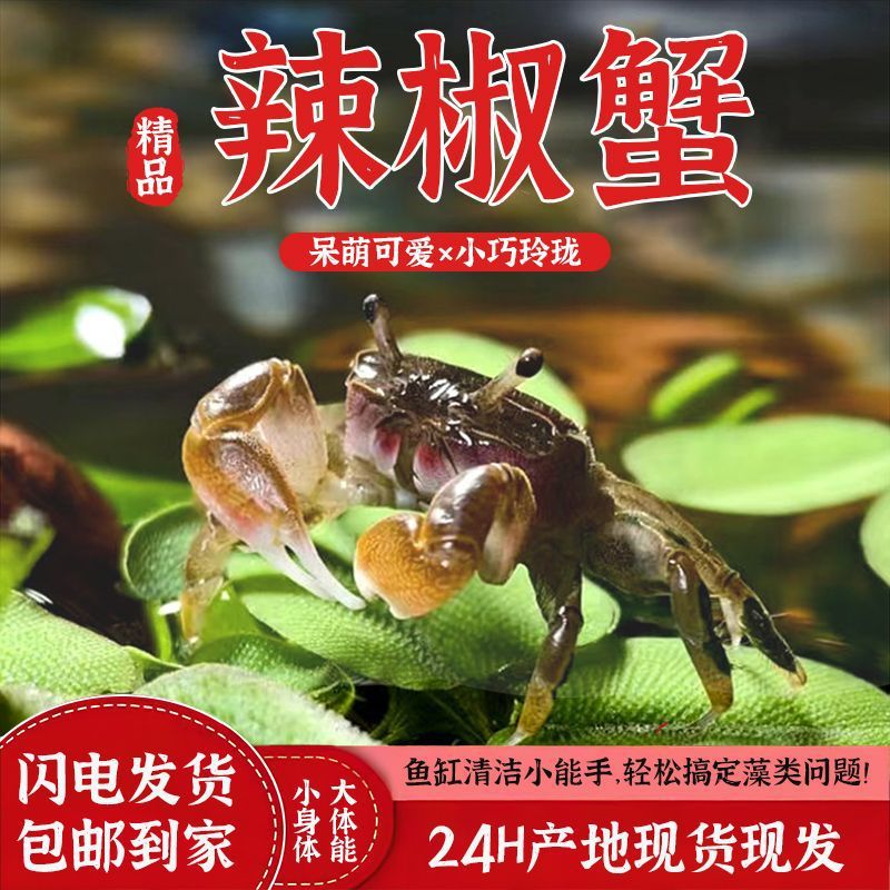 cbc3d14e-81e2-477b-bccc-bba1e33f9e48.jpe