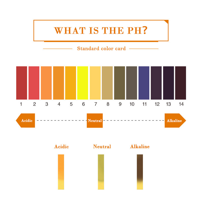 ph indicator paper.jpg