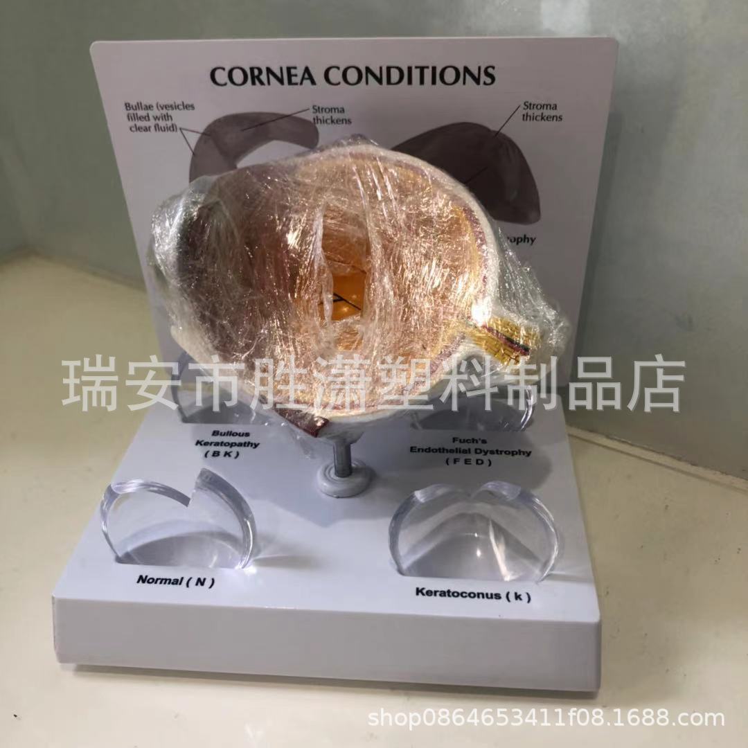 72b54e18d36efecaa8c9893656c17d