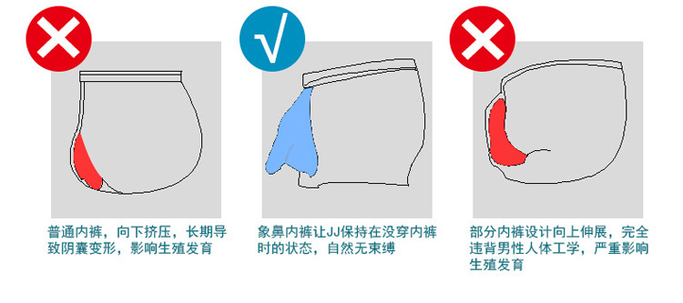 详情12.jpg
