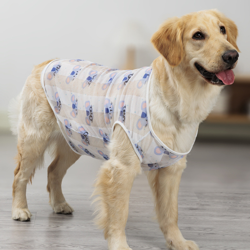 cb90fc84-e2e9-4c3f-9653-39faa4537ac8.jpe