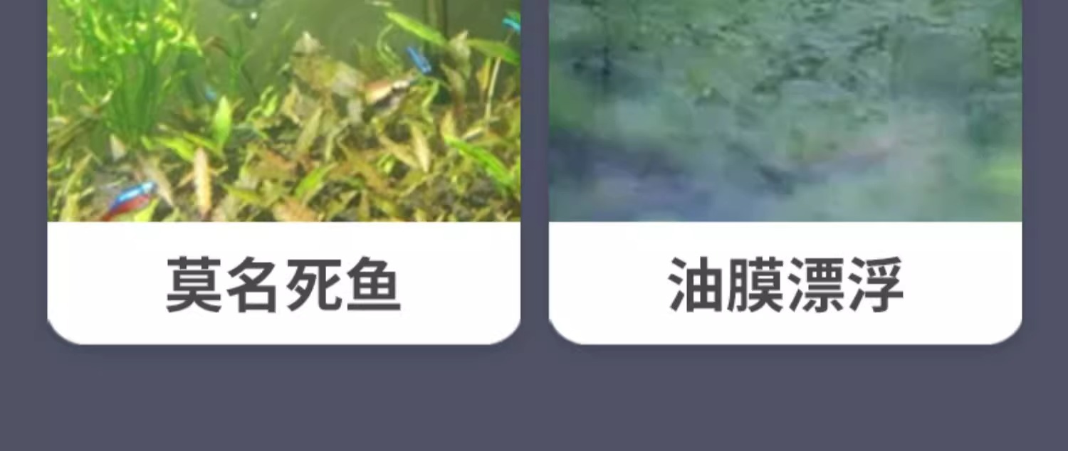 详情5.jpg