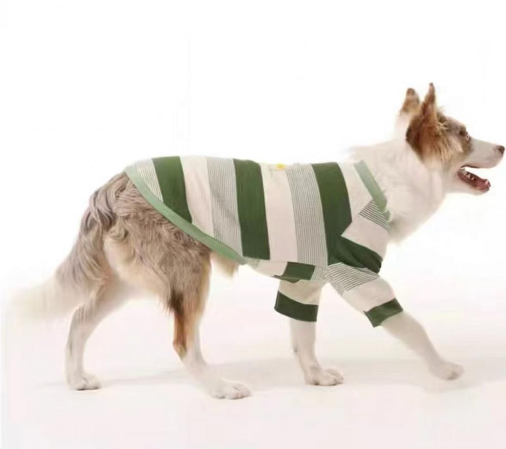 ff70bb54-5acf-4e1e-a4fe-f1203d82bc96.jpe