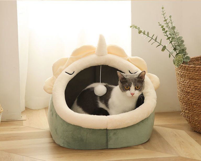 08a2b690-ed84-4252-93e6-02b9c8786090.jpe