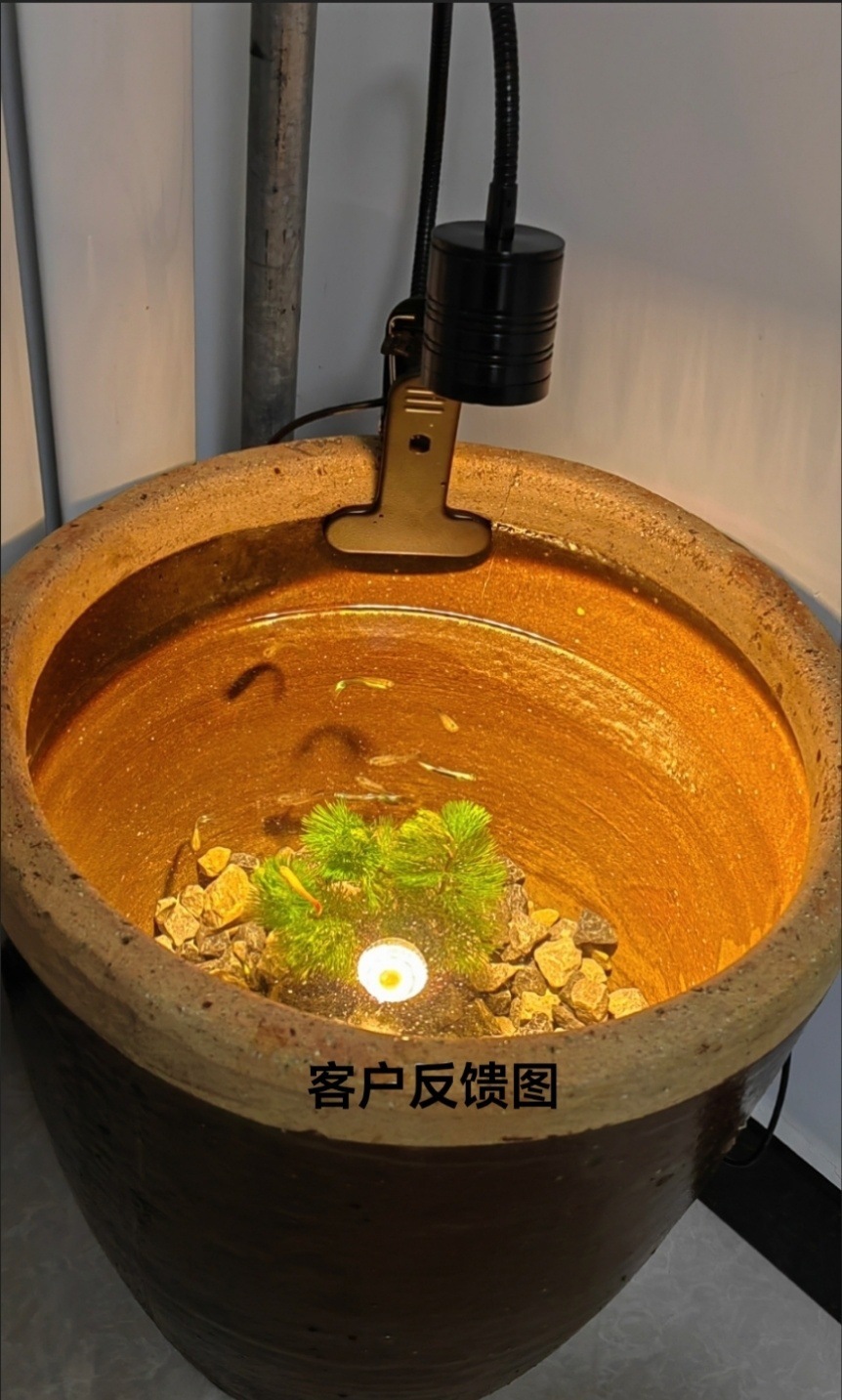 1a48423e-7472-476b-994d-bda078468961.jpe