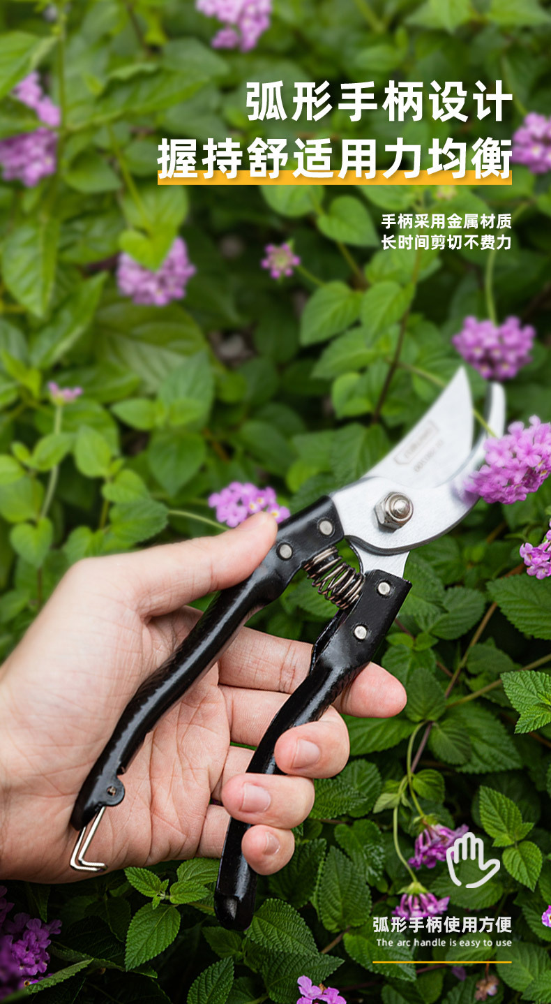DL580200 (14).jpg