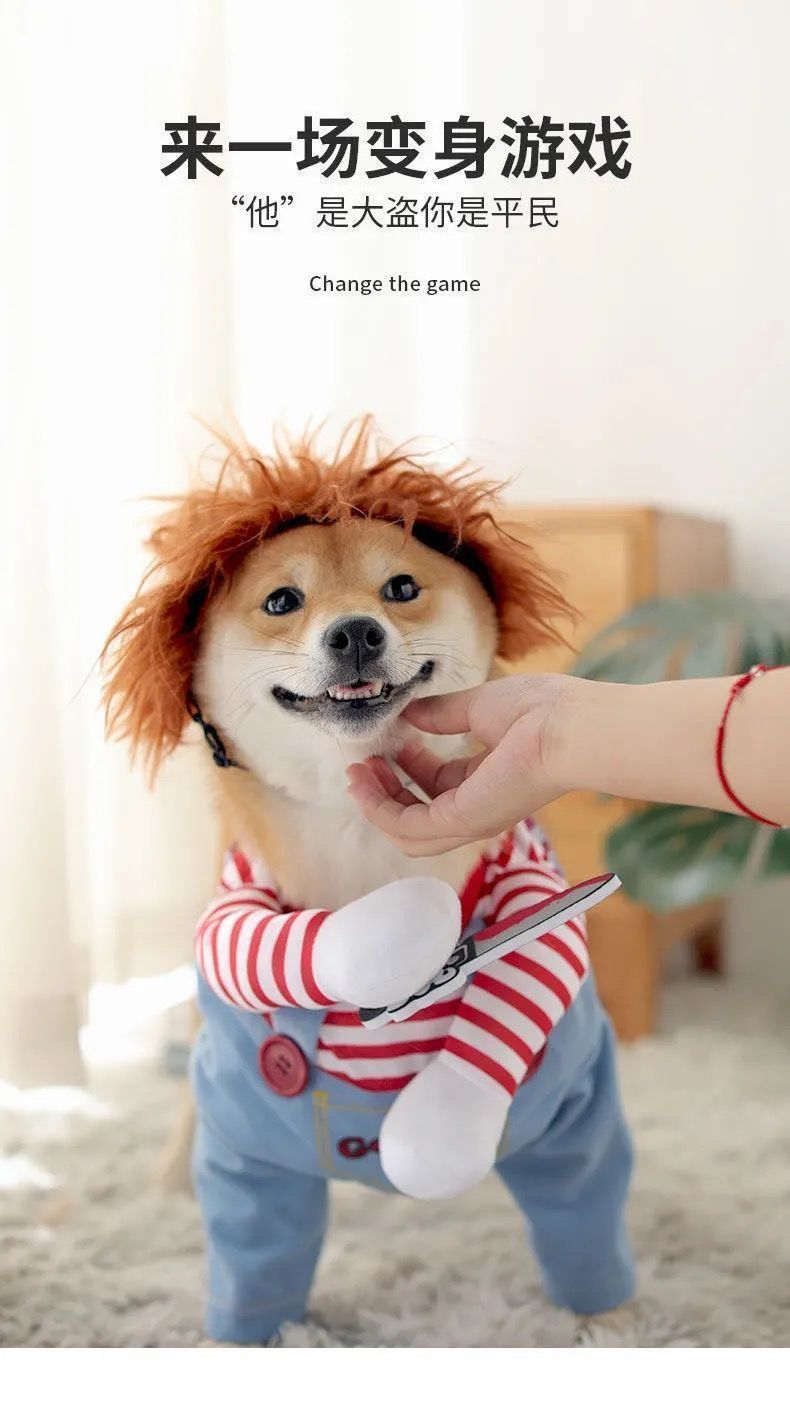 612fa556-e683-474d-a077-be1dc8b2f527.jpe