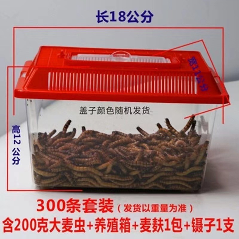 43d4b17f-61f4-4962-a9bd-ca0ccc133e3a.jpe