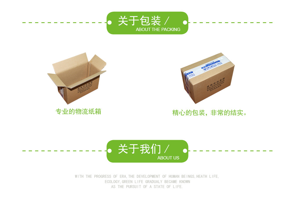 镂空定植篮10_01