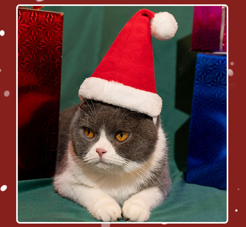 7f3121b7-0b5d-4df6-b955-dae560984009.jpe